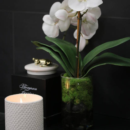 Ivory Crocodile Candle in Ceramic Vessel with Charnel Aroma - Elegant Home Fragrance Delight